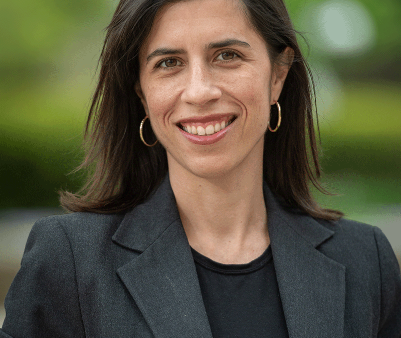 Inequality Scholars Spotlight: Luciana de Souza Leão